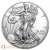 Tube Of 20 X 2020 Silver 1 Ounce American Eagle Coins
