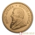 2021 1/2 Ounce South African Krugerrand