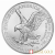 Monster Box - 2022 Silver 1 Ounce American Eagle Coin