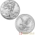 Tube Of 20 X 2022 Silver 1 Ounce American Eagle Coins